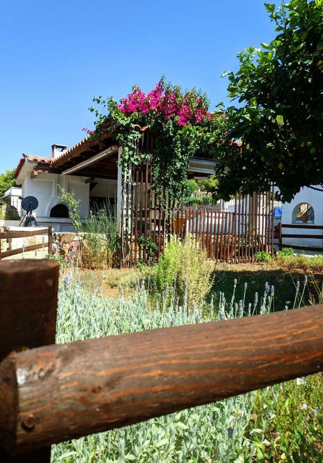 Koel Country House Ano Almiri Esterno foto
